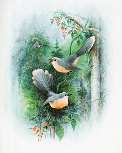黑色和棕色的小鸟在树枝画
